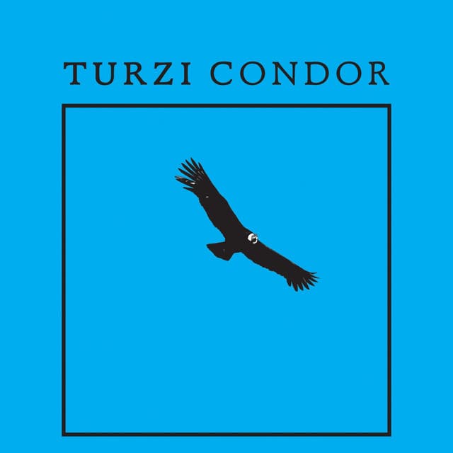 Condor - Timothy Remix cover art