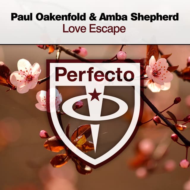 Love Escape - Dimatik Remix cover art