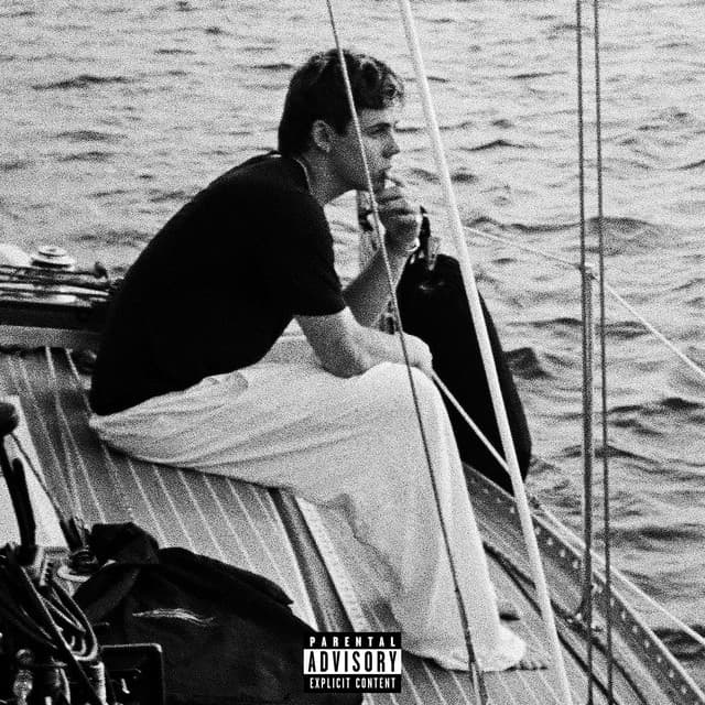 HOT GIRL PROBLEMS cover art