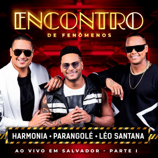 O Encontro - Ao Vivo cover art