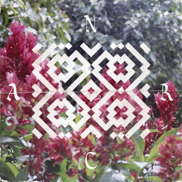 Cocha Runa - Chancha Via Circuito Remix cover art