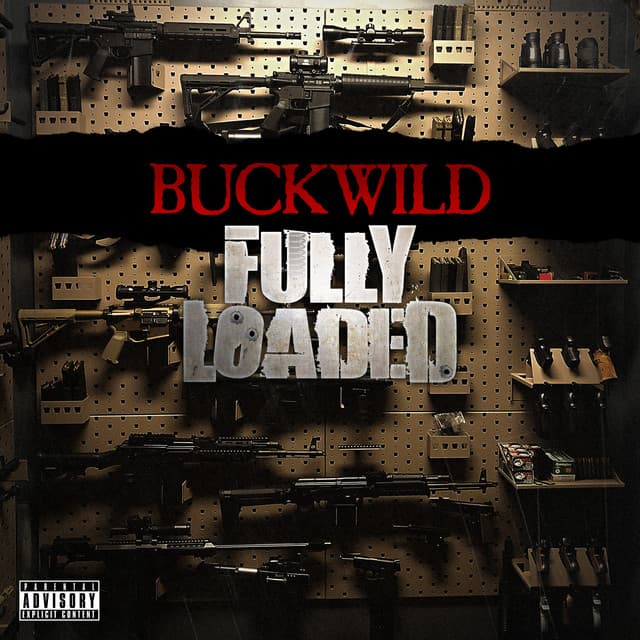 Fully Loaded cover art