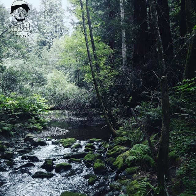Meet Me Where the River Turns Grey cover art