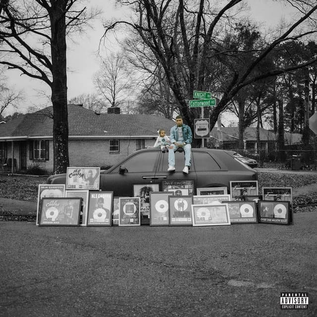 Cottonwood 2 cover art