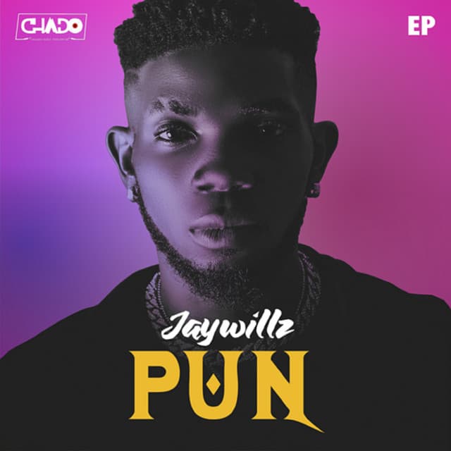 P.U.N cover art