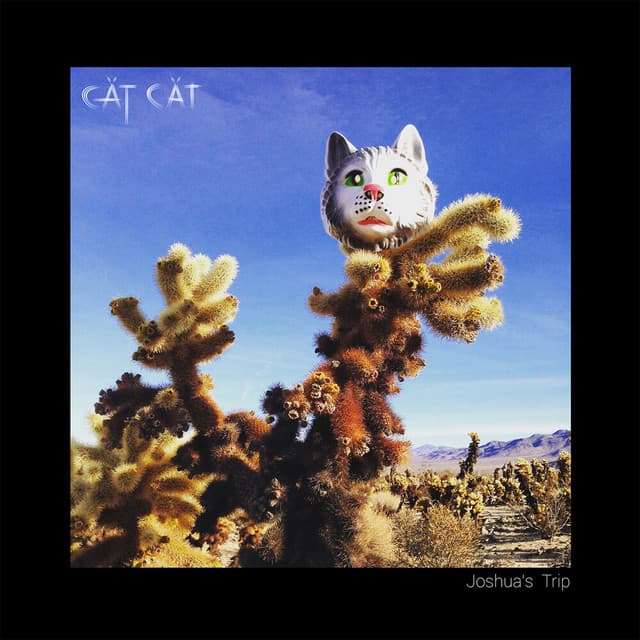 Pioneer Canyon (Amevicious Remix) cover art
