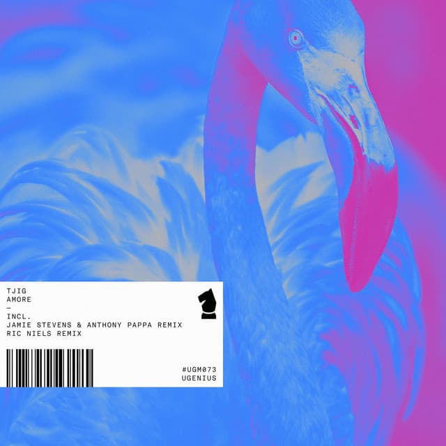 Amore cover art