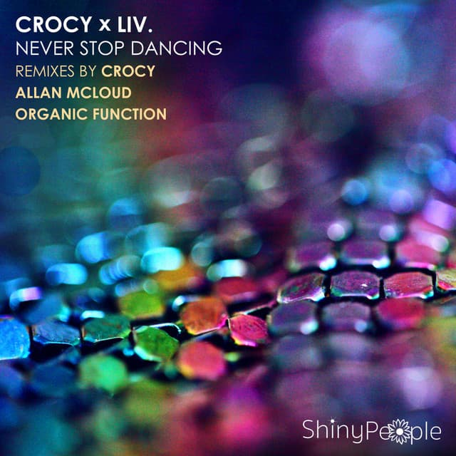 Never Stop Dancing - Allan McLoud Remix cover art