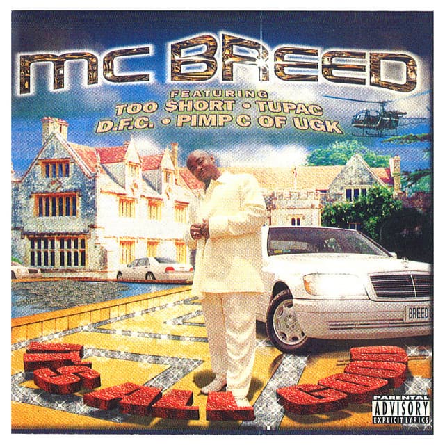 Swoke with a Nigga cover art