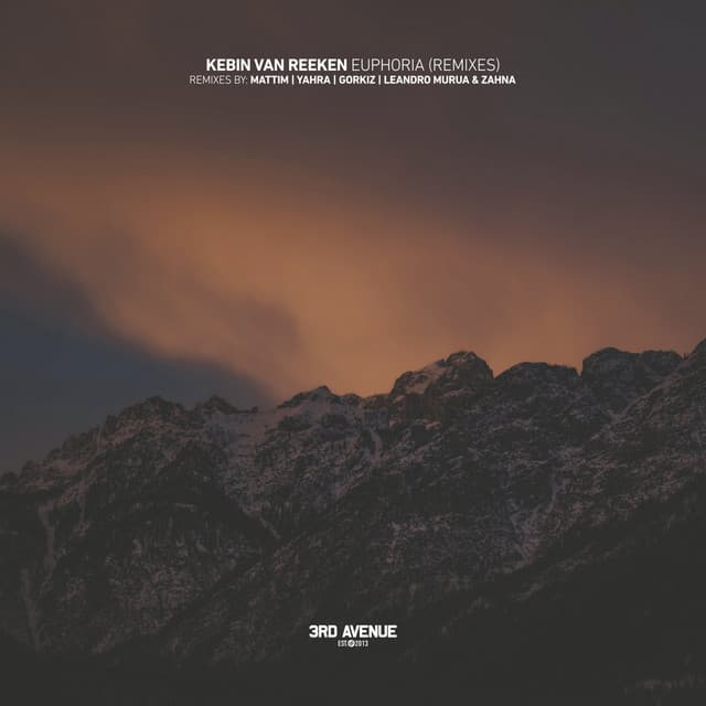 Euphoria - Mattim Remix cover art