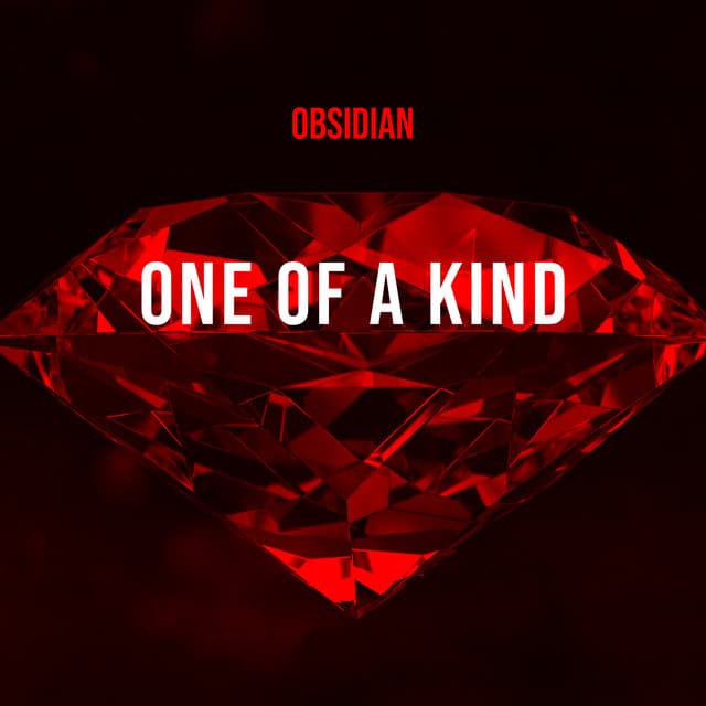 One of a Kind cover art