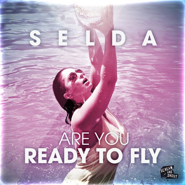 Are You Ready to Fly - Pitchbrothers Remix cover art