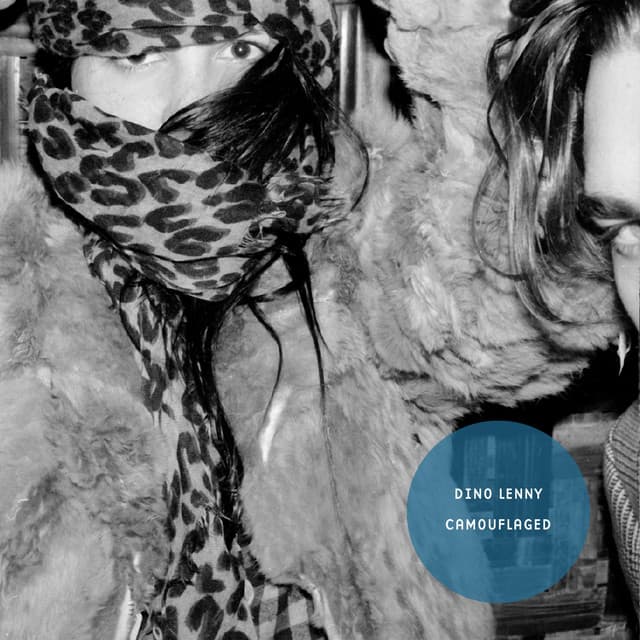 Camouflaged cover art
