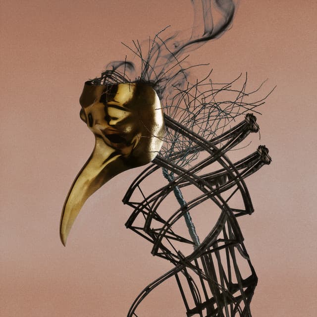Nobody cover art