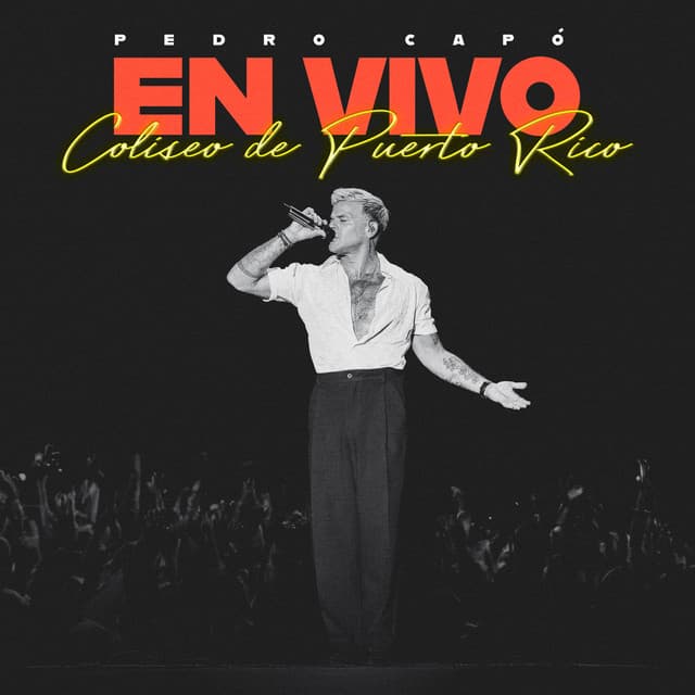 Soñando Con Puerto Rico (feat. Danny Rivera & Trio Nuevo Son) - En Vivo Coliseo de Puerto Rico cover art