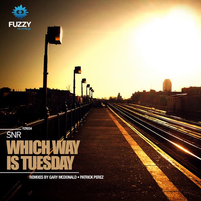 Which Way Is Tuesday - Patrick Perez Remix cover art