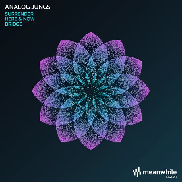 Bridge cover art