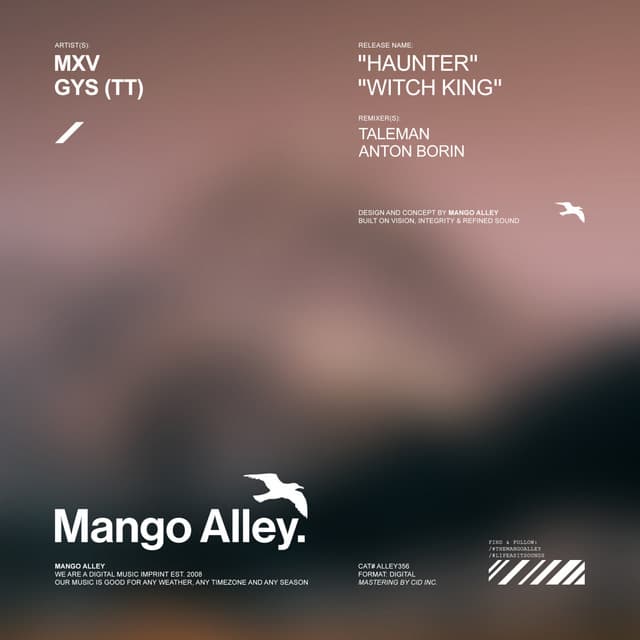 Haunter - Taleman Remix cover art