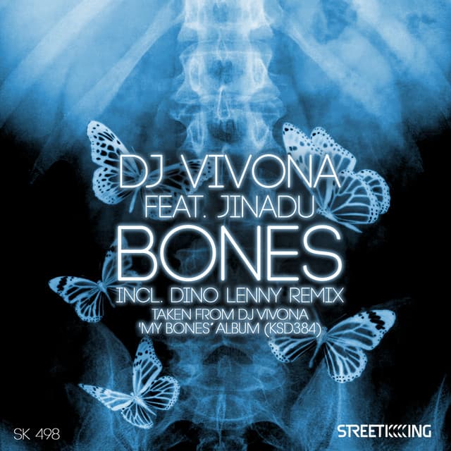 Bones - Alternative Mix cover art