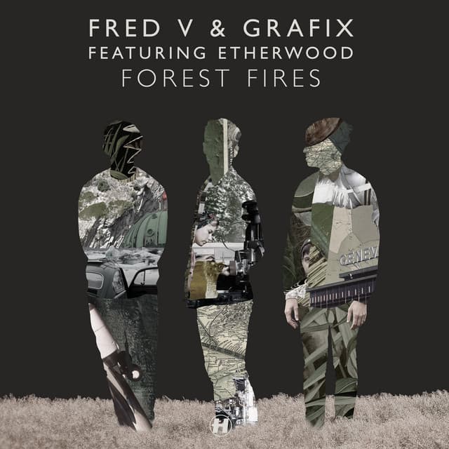Forest Fires - Taiki Nulight Remix cover art