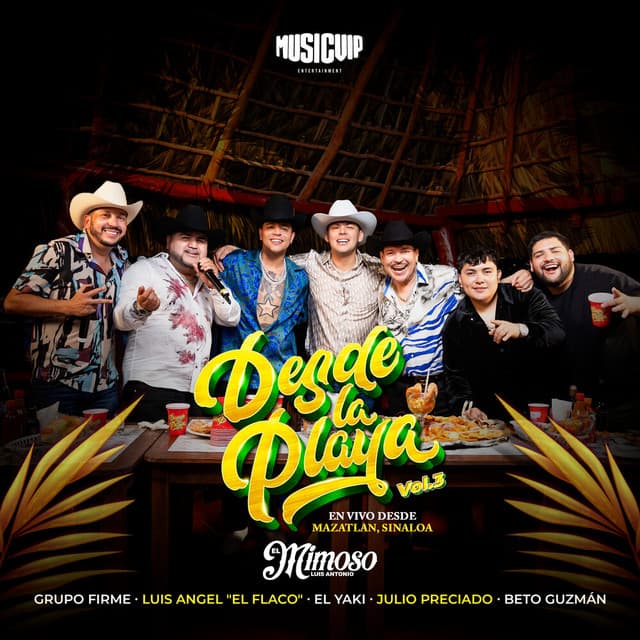 Cómo Pudiste (En Vivo) cover art