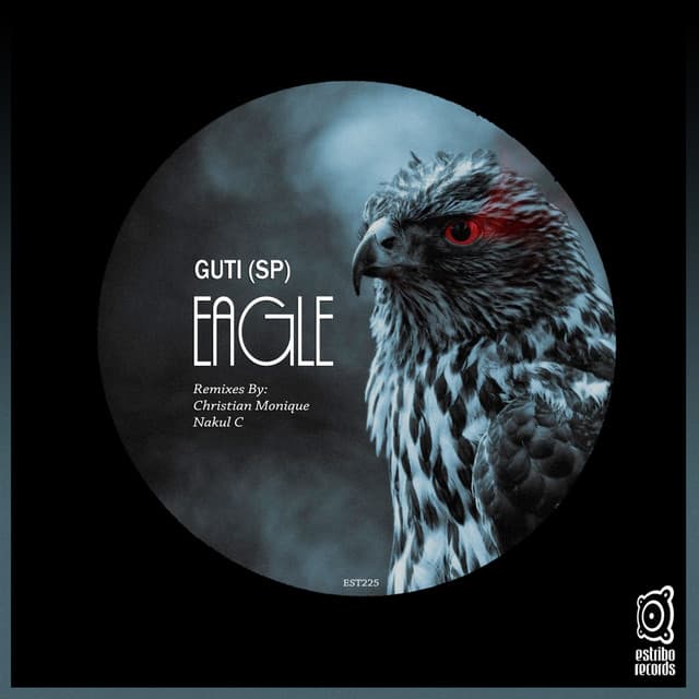 Eagle - Nakul C Remix cover art