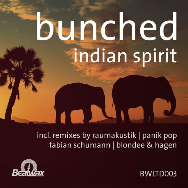 Indian Spirit cover art