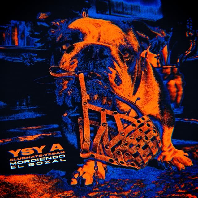 PERDAMONO cover art