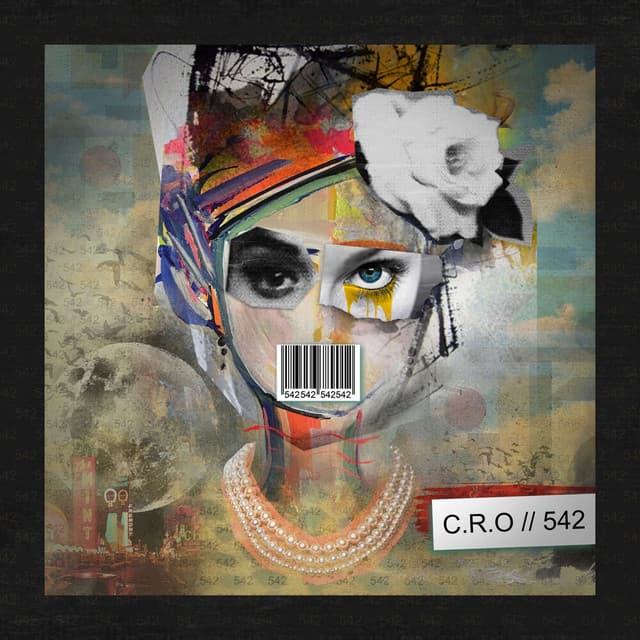 542 cover art
