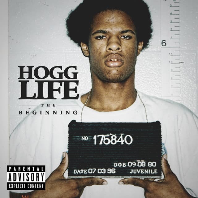 55 cover art