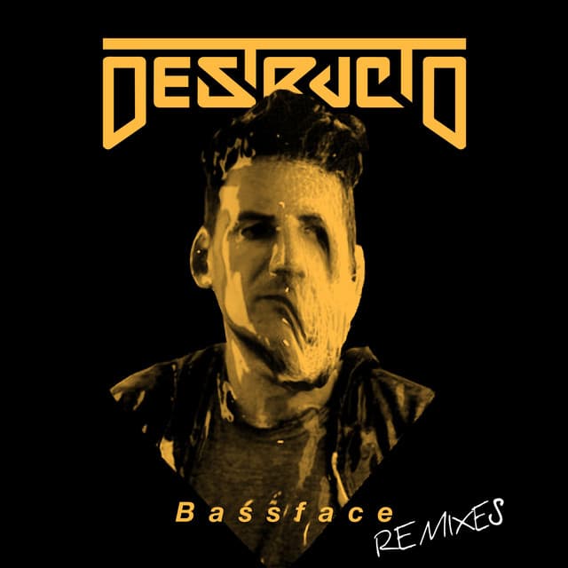 Bassface (Remixes) cover art