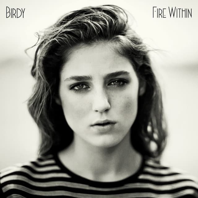 Fire Within cover art