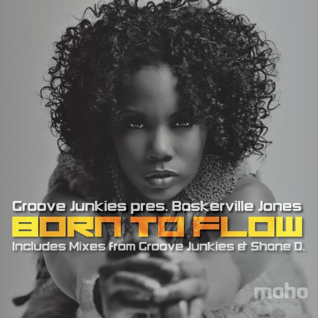 Born To Flow - Shane D Remix cover art