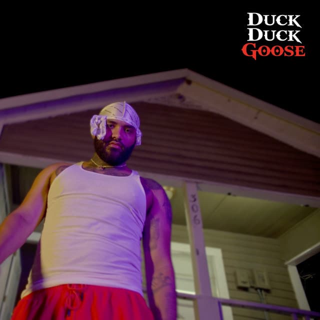 Duck Duck Goose cover art