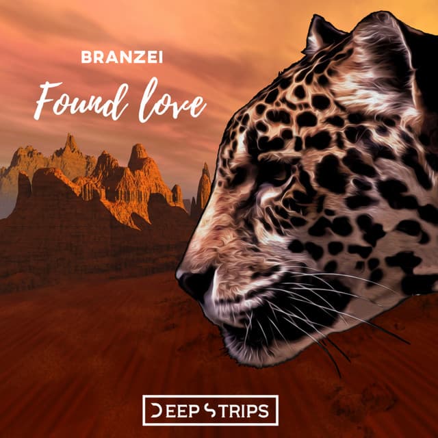 Found Love - Vinylsurfer Remix cover art