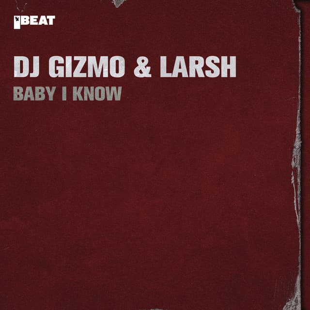 Dj Gizmo