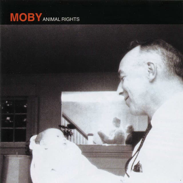 Come on Baby cover art