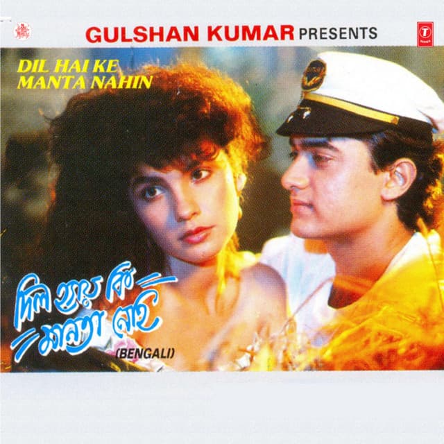 Dil Hai Ke Manta Nahin cover art
