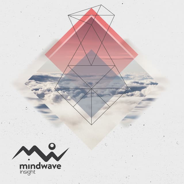 Insight cover art