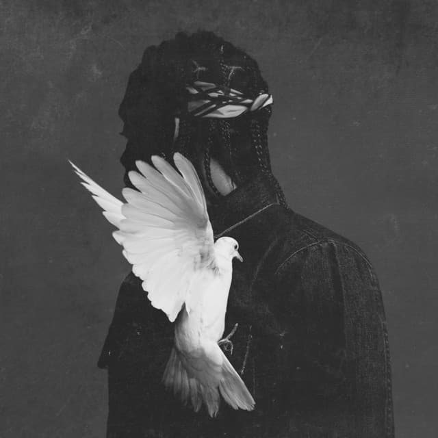 Got Em Covered cover art