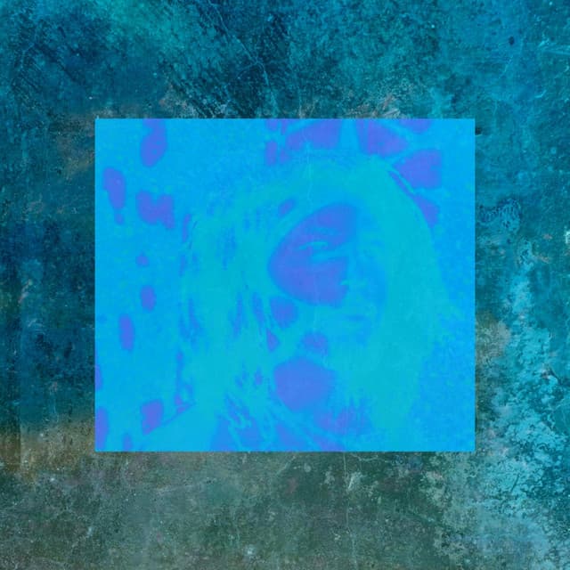 Follow the Leader cover art