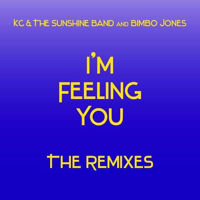 I'm Feeling You - Tony Moran Instrumental Mix cover art