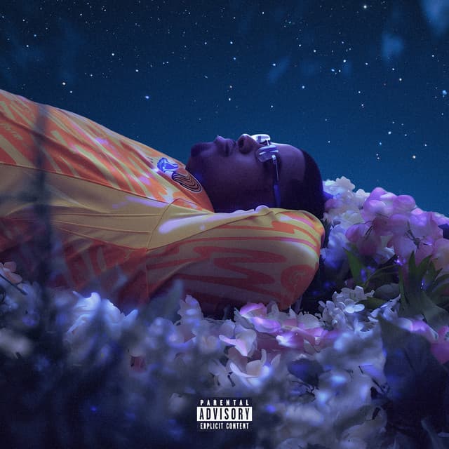 Ratchet Baby (feat. Roy Woods) cover art