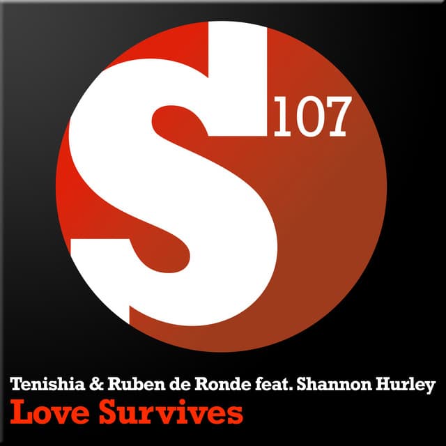 Love Survives - Flashtech Remix cover art