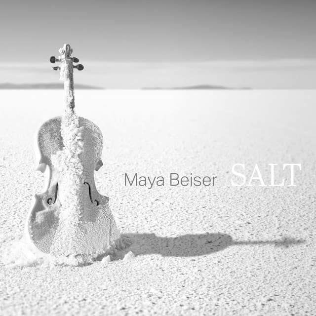 Salt Air, Salt Earth cover art