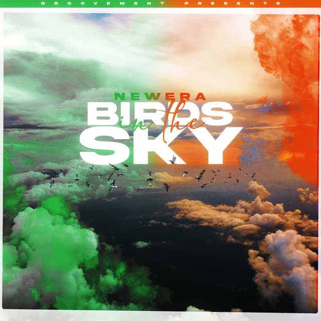 Birds In The Sky (Irish Remix Pack) cover art