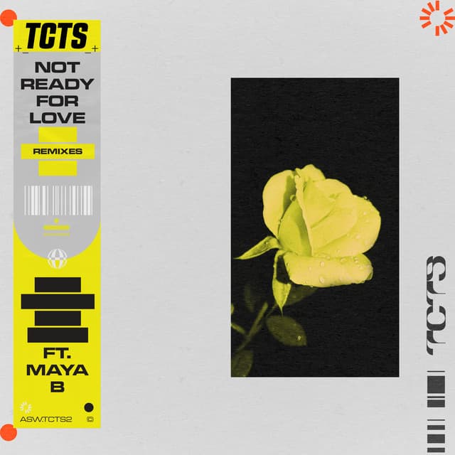 Not Ready For Love - Mike Dunn Remix cover art