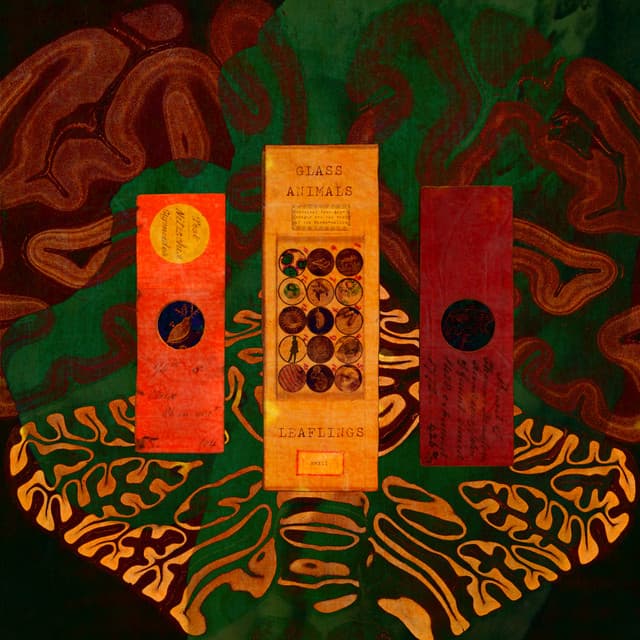 Dust In Your Pocket cover art