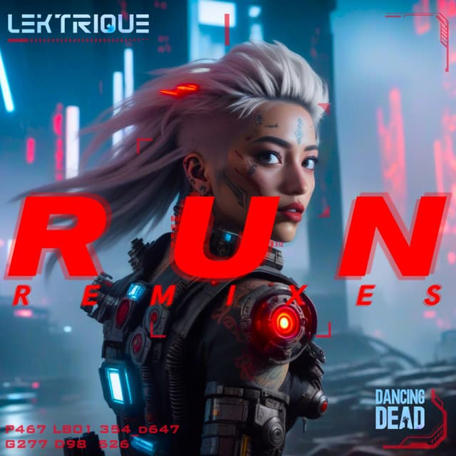 RUN - Brave The Storm Remix cover art