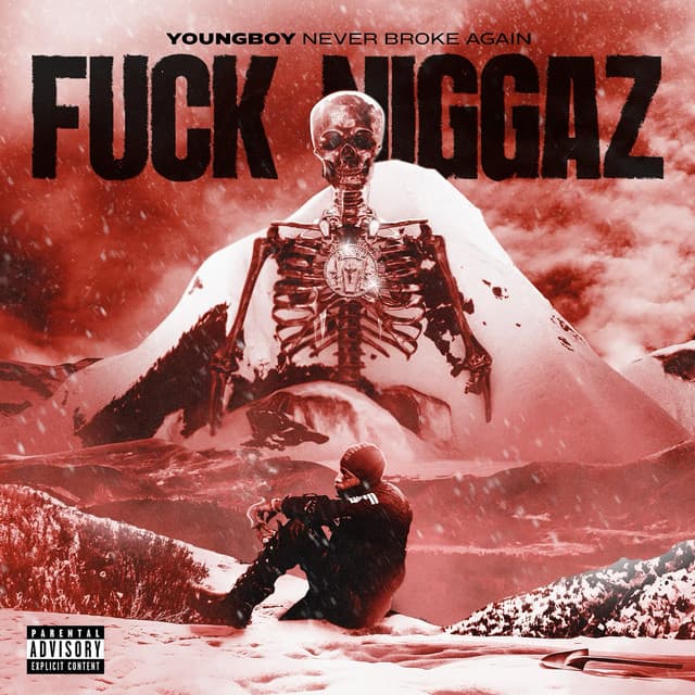 Fuck Niggaz cover art